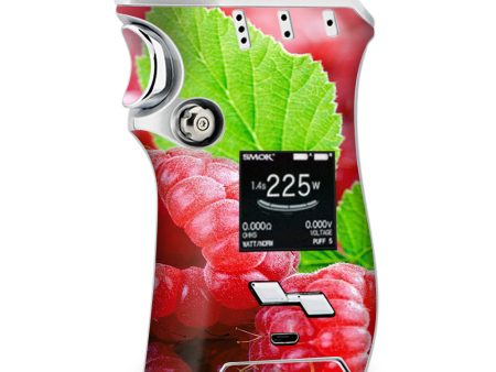 Raspberry, Fruit Smok Mag kit Skin Supply