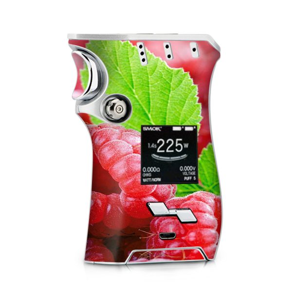 Raspberry, Fruit Smok Mag kit Skin Supply